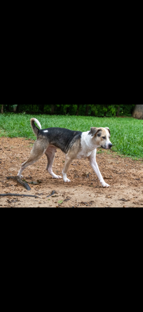 Max photo 4
