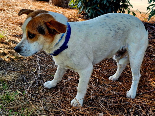 Eddie photo 4