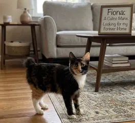 Fiona image 3