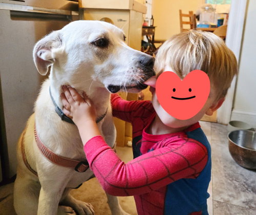 DELILAH LUVS KIDS photo 1