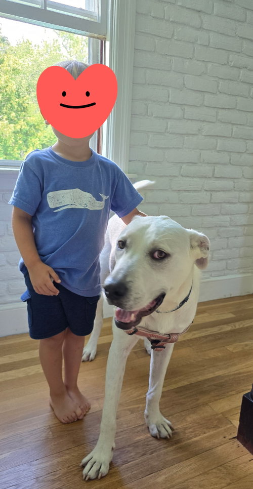 DELILAH LUVS KIDS photo 2