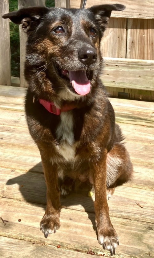 Photo 2 of MISS FANCY