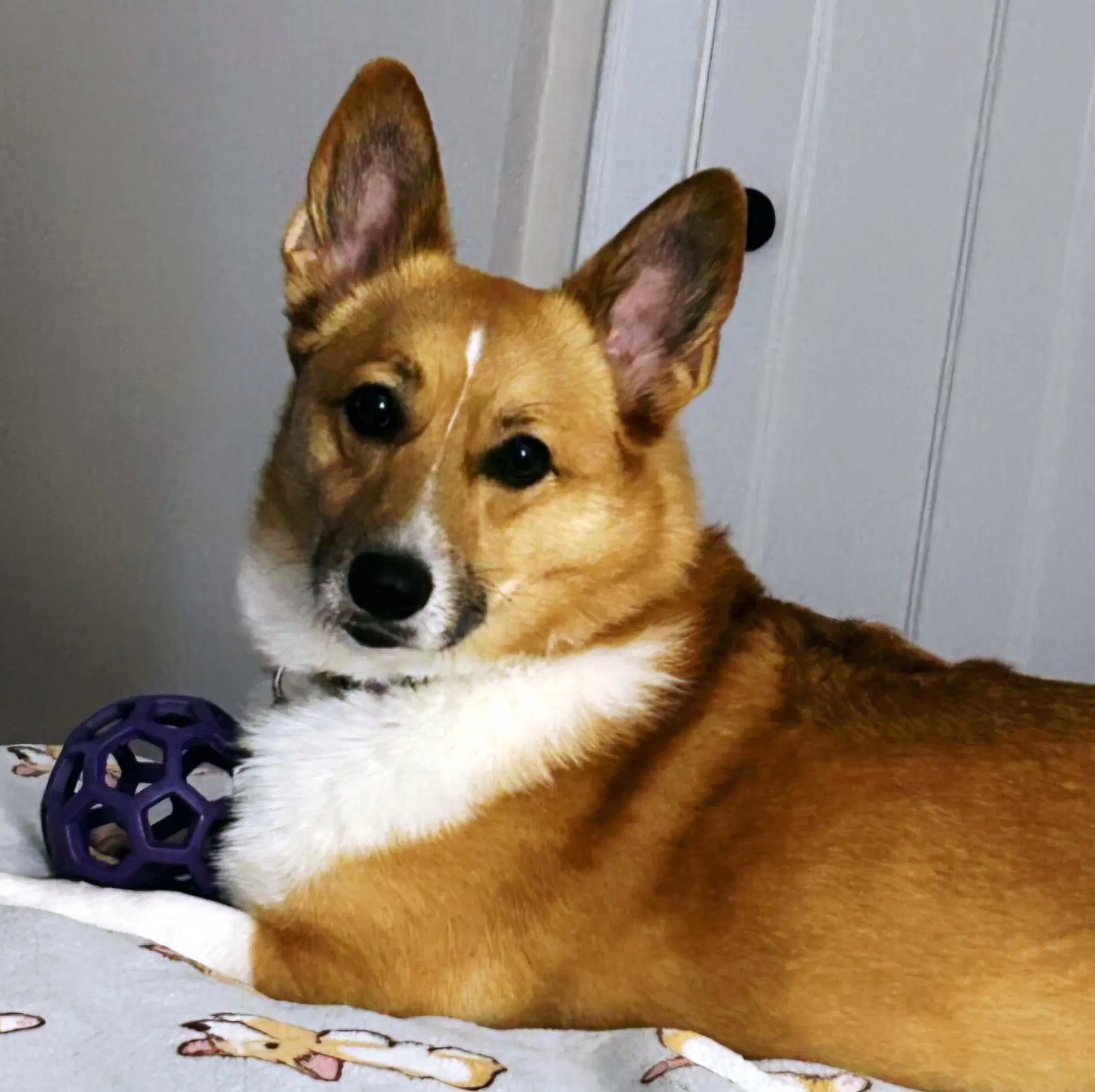 Zoey image 4