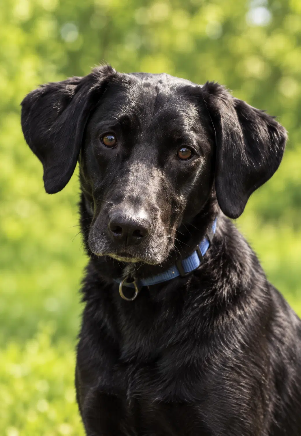 Otis image 2