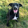 Petunia (Courtesy Listing) - Photo 2