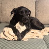 Petunia (Courtesy Listing) - Photo 3