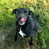 Petunia (Courtesy Listing) - Photo 4