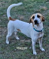 Maggie (Courtesy Listing) - Photo 1