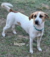 Maggie (Courtesy Listing) - Photo 2