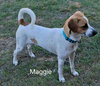 Maggie (Courtesy Listing) - Photo 3