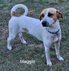 Maggie (Courtesy Listing) - Photo 4