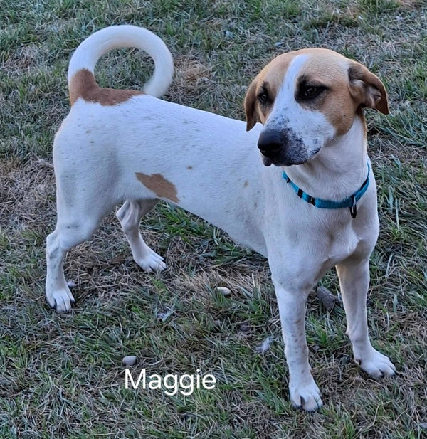 Maggie (Courtesy Listing)