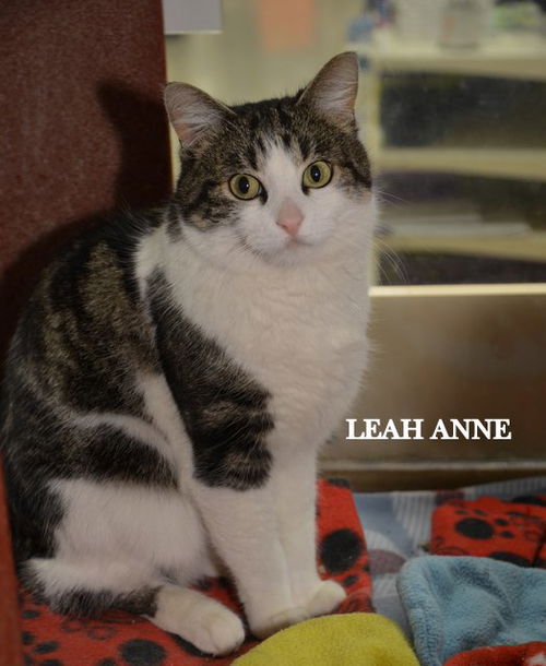 Leah Anne