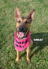 Kinsley