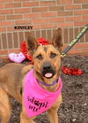 Kinsley