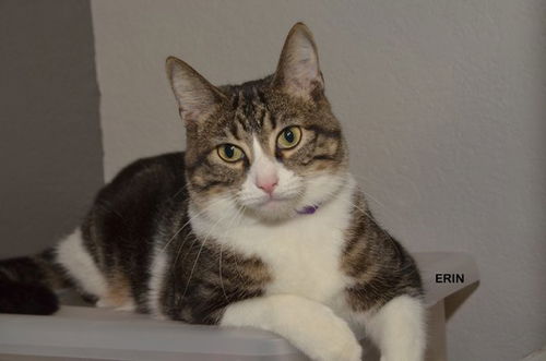 Erin