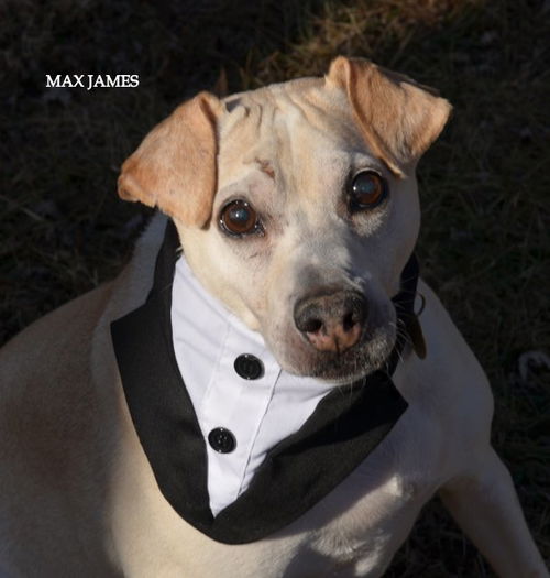 Max James