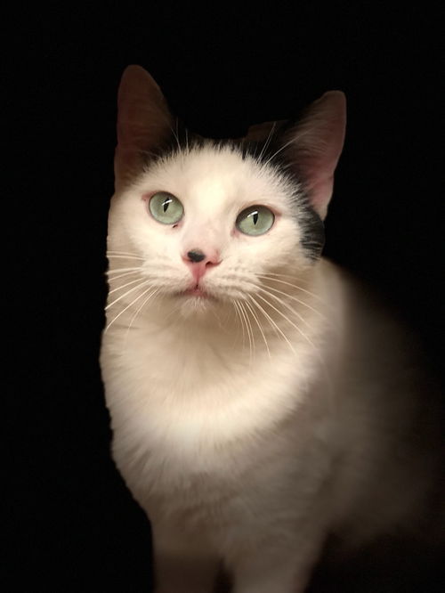 Luna Girl
