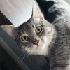 Slinky