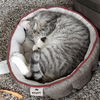 Slinky
