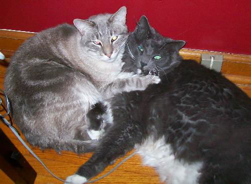 Baxter and Henry