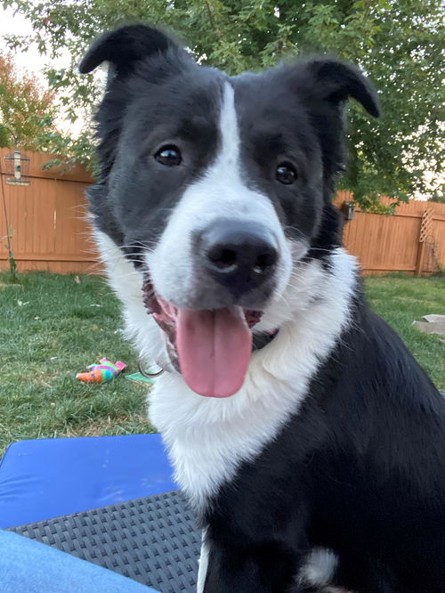 Luka