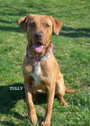 Tully