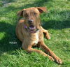 Tully