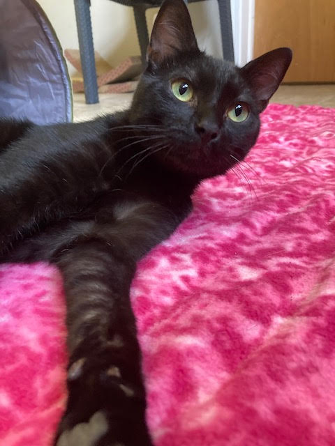 Bartholomew