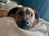 Maxwell - Photo 6