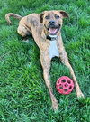 Maxwell - Photo 4