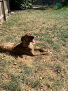Maxwell - Photo 13