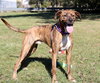 Maxwell - Photo 2