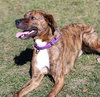 Maxwell - Photo 3