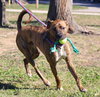 Maxwell - Photo 9