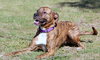 Maxwell - Photo 12