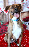 Maxwell - Photo 3