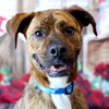 Maxwell - Photo 8