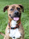Maxwell - Photo 2