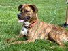 Maxwell - Photo 3