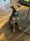 Gretchen
