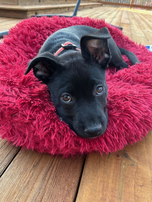 Roly