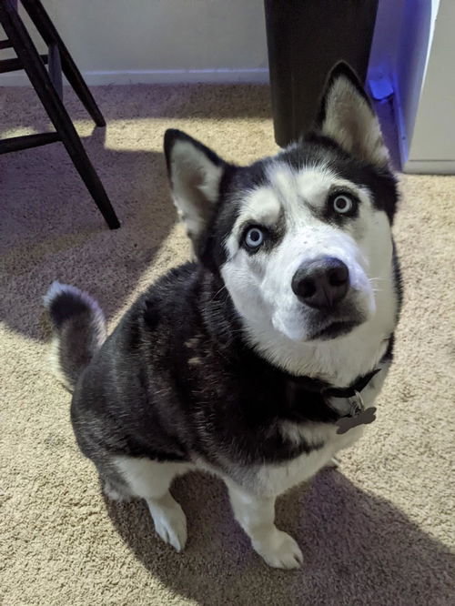 Kita
