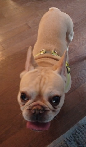 Wally (Walter)