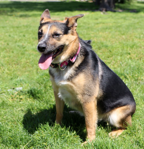 Schatzi