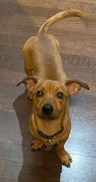 Tucker
