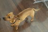 Tucker