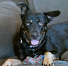 Artemis - Photo 1