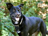Artemis - Photo 2