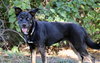 Artemis - Photo 3
